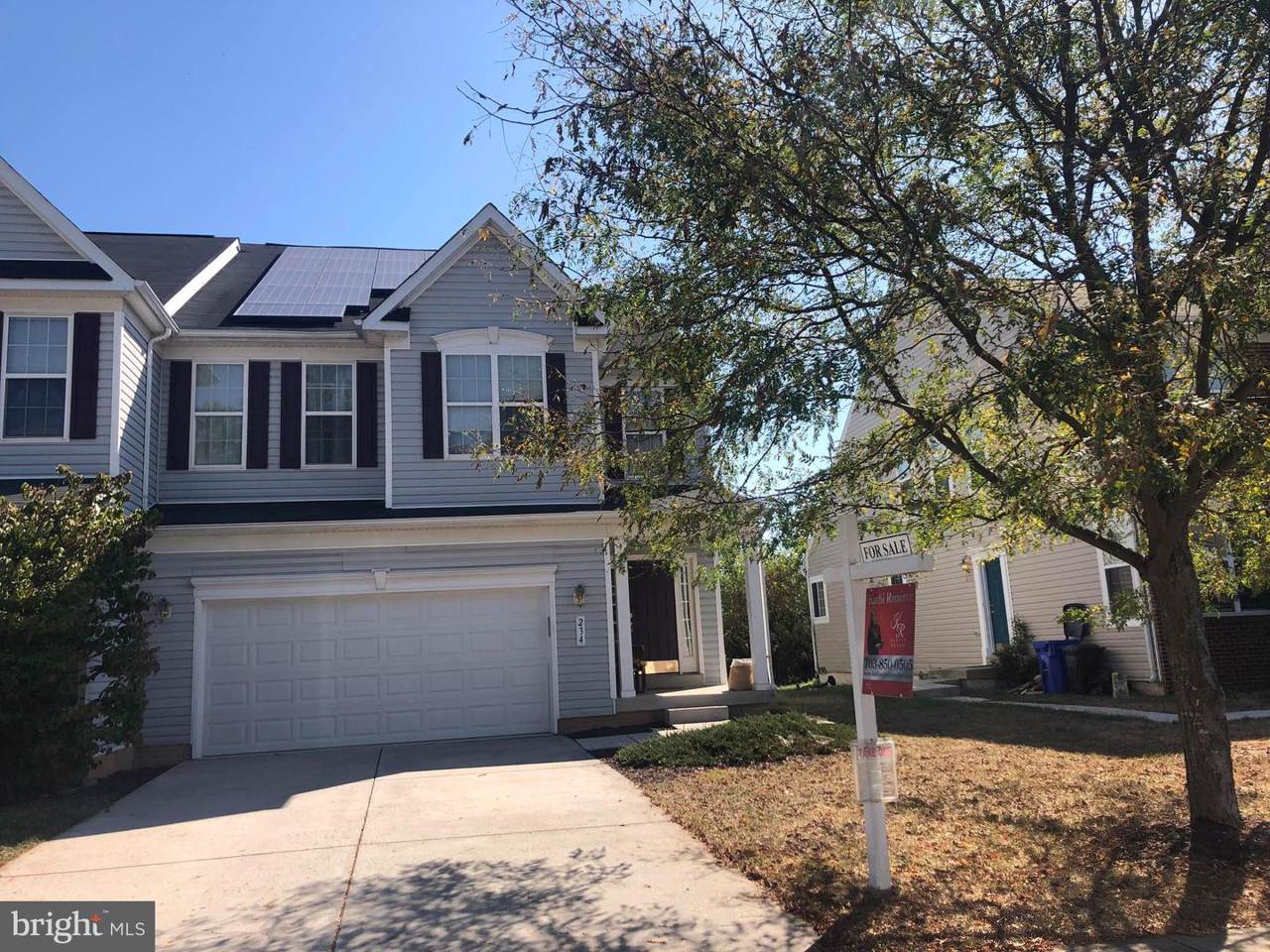 234 Brynwood Street - Photo 1