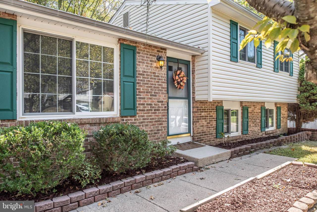 8103 Winter Blue Court - Photo 1