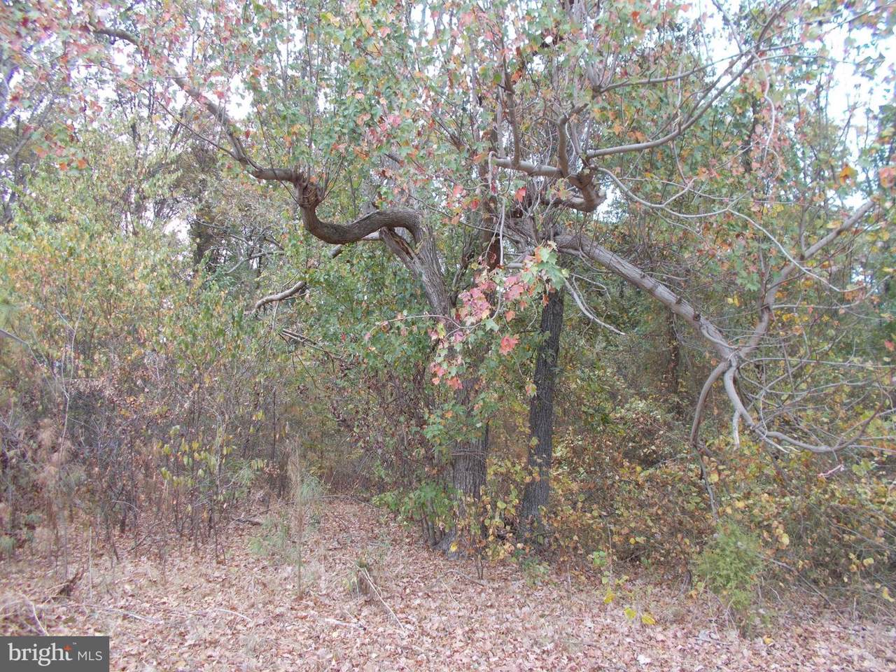 5024 Clark Canning House Road - Photo 1 5024 Clark Canning House Road - Photo 1