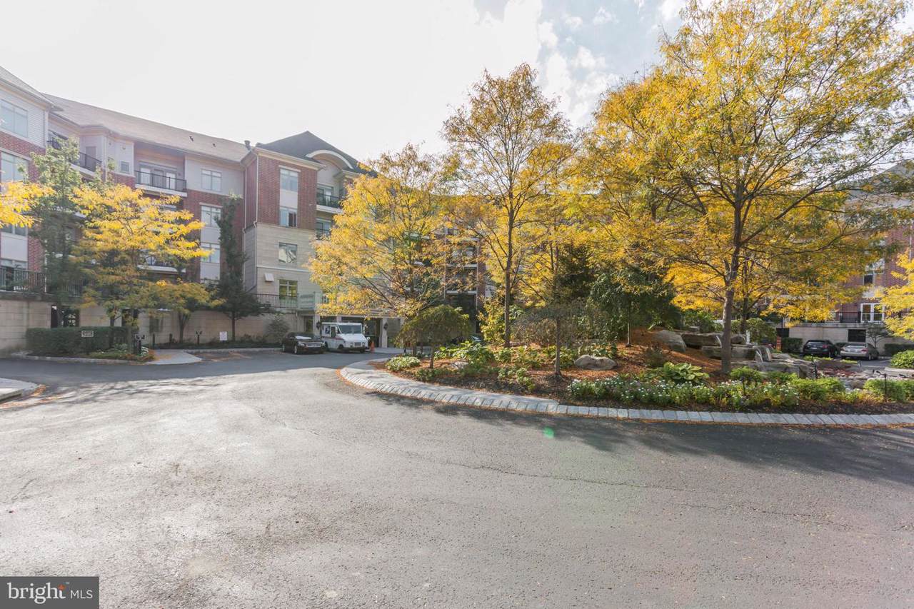 304 Carson Terrace - Photo 1