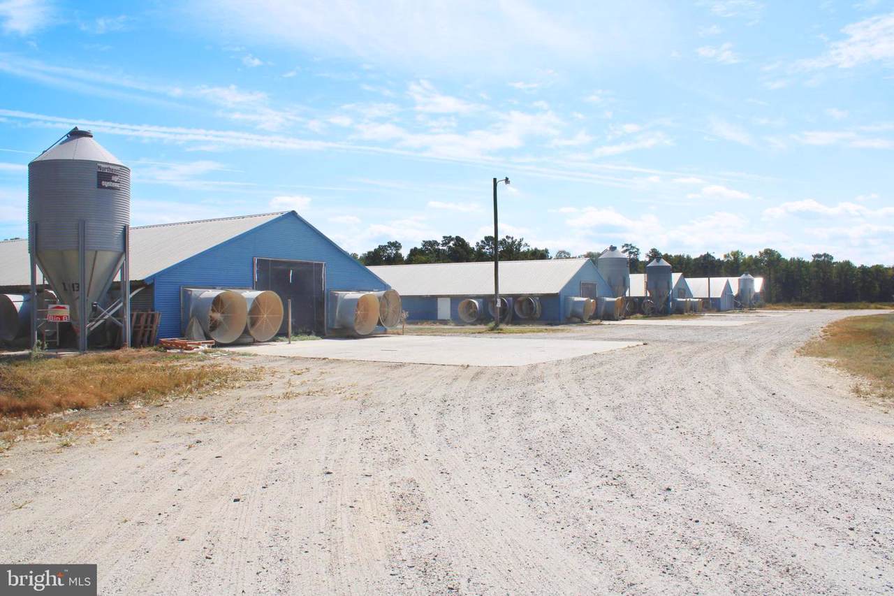 6025 Eldorado-Federalsburg Road - Photo 1