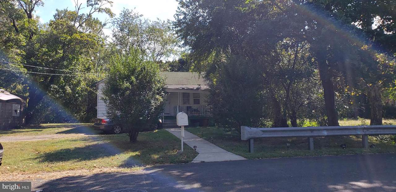 730 Lily Street - Photo 1