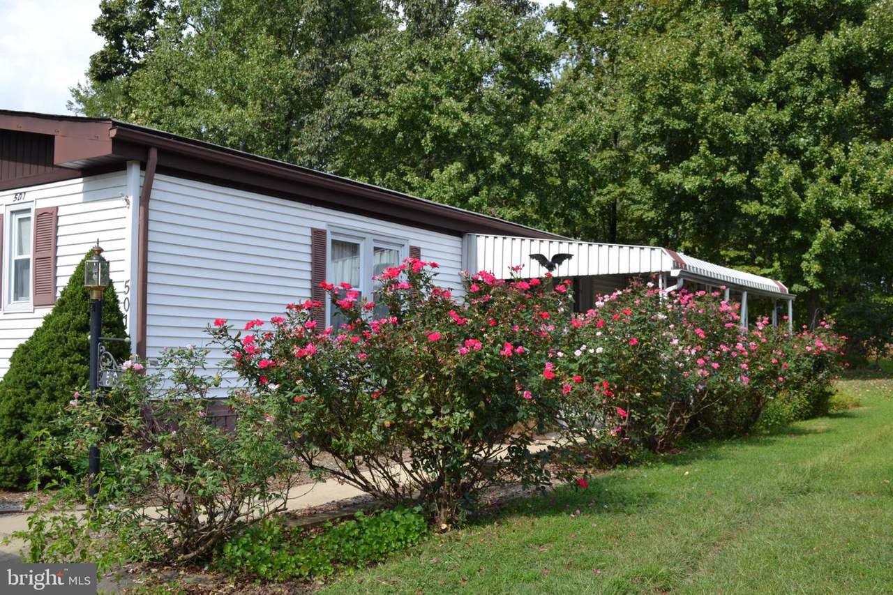 501 Willow Lane - Photo 1