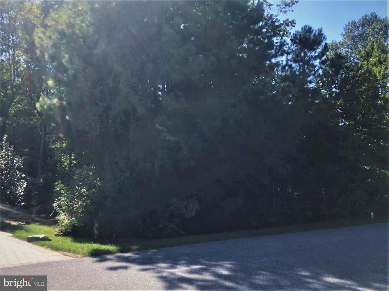 1403 Chase Street - Photo 1