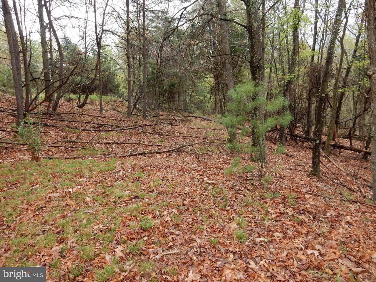 Pearles Lane - Photo 1