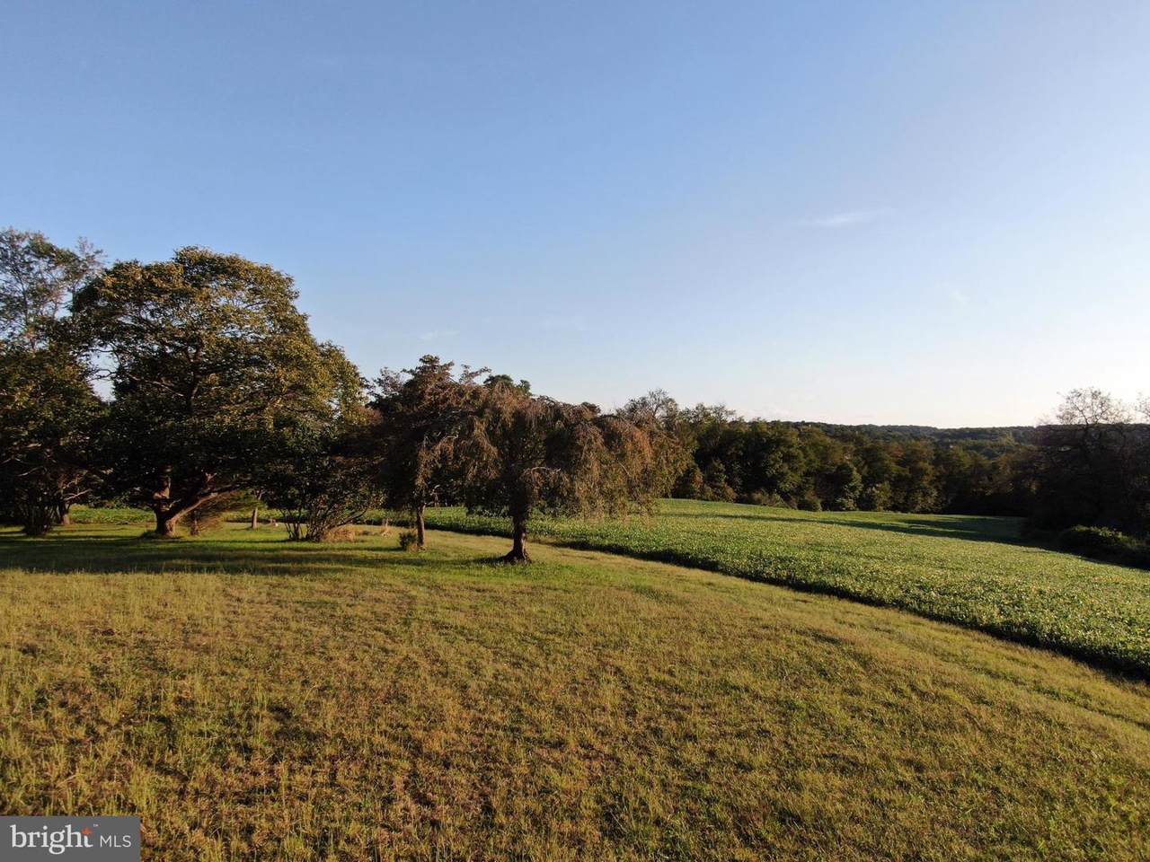 Harris Mill Road - Photo 1