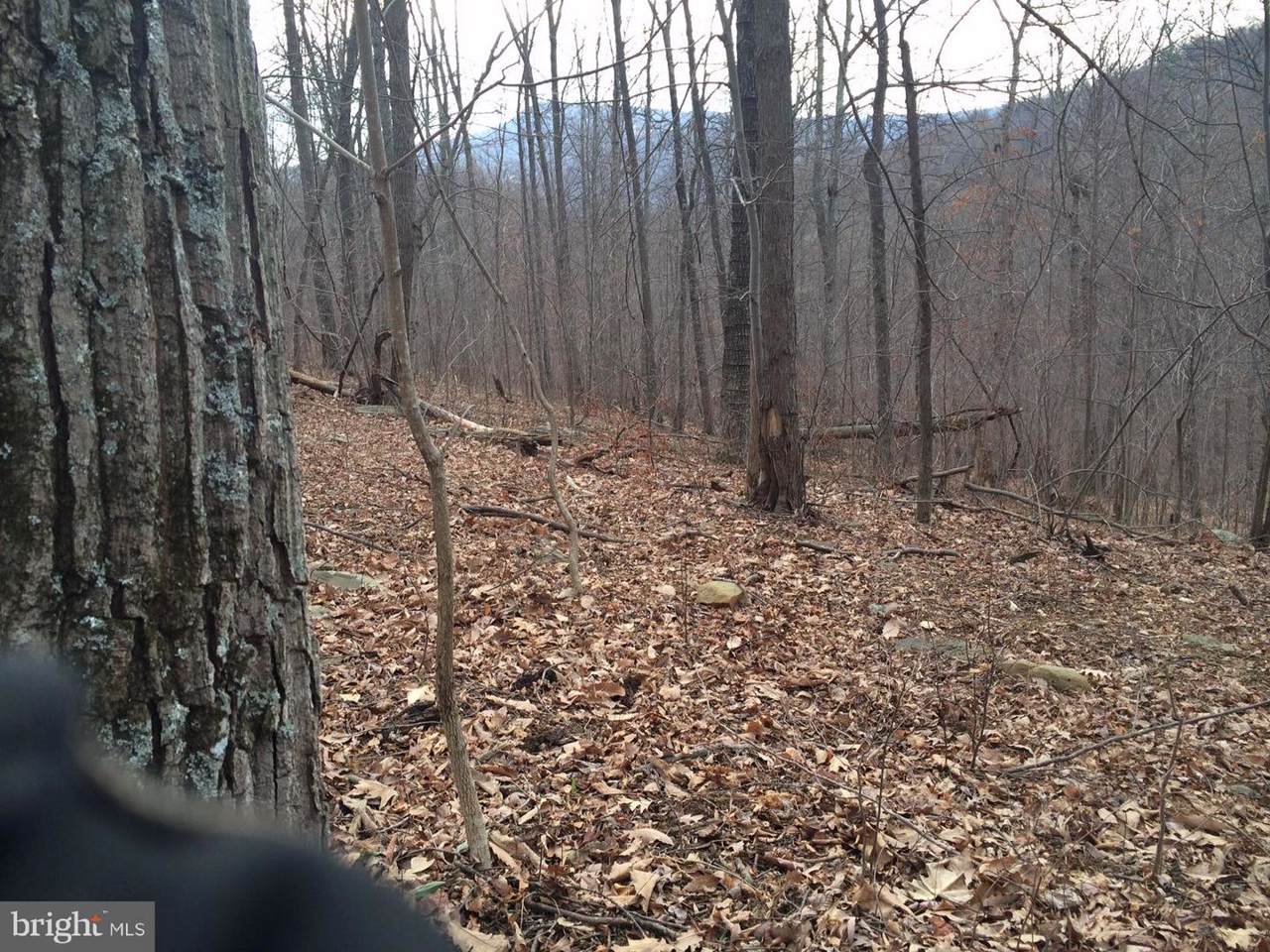 Turkey Lane - Photo 1