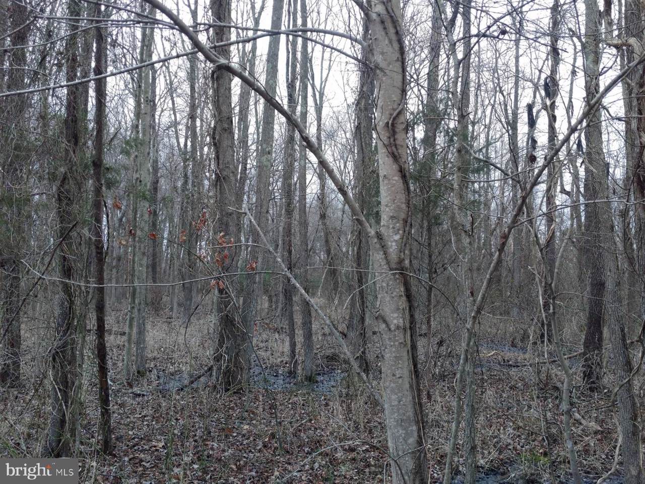 1229 Scott Town Road - Photo 1