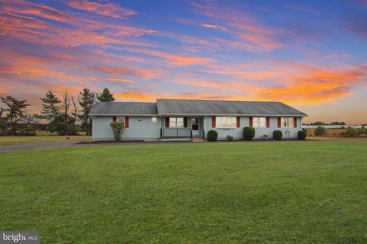 8280 Sharptown Road - Photo 1