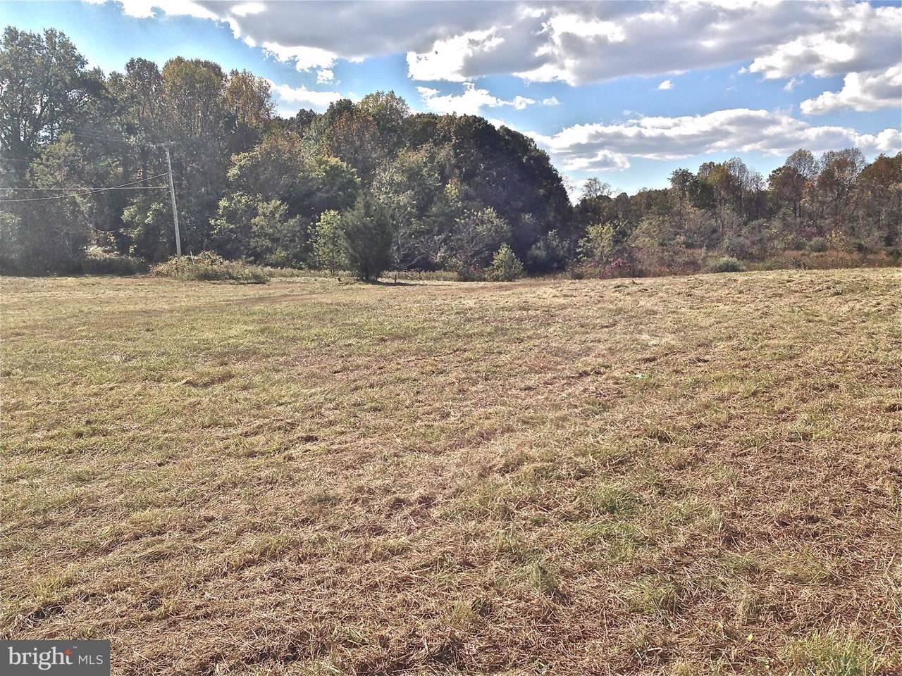 Rixeyville Road - Photo 1
