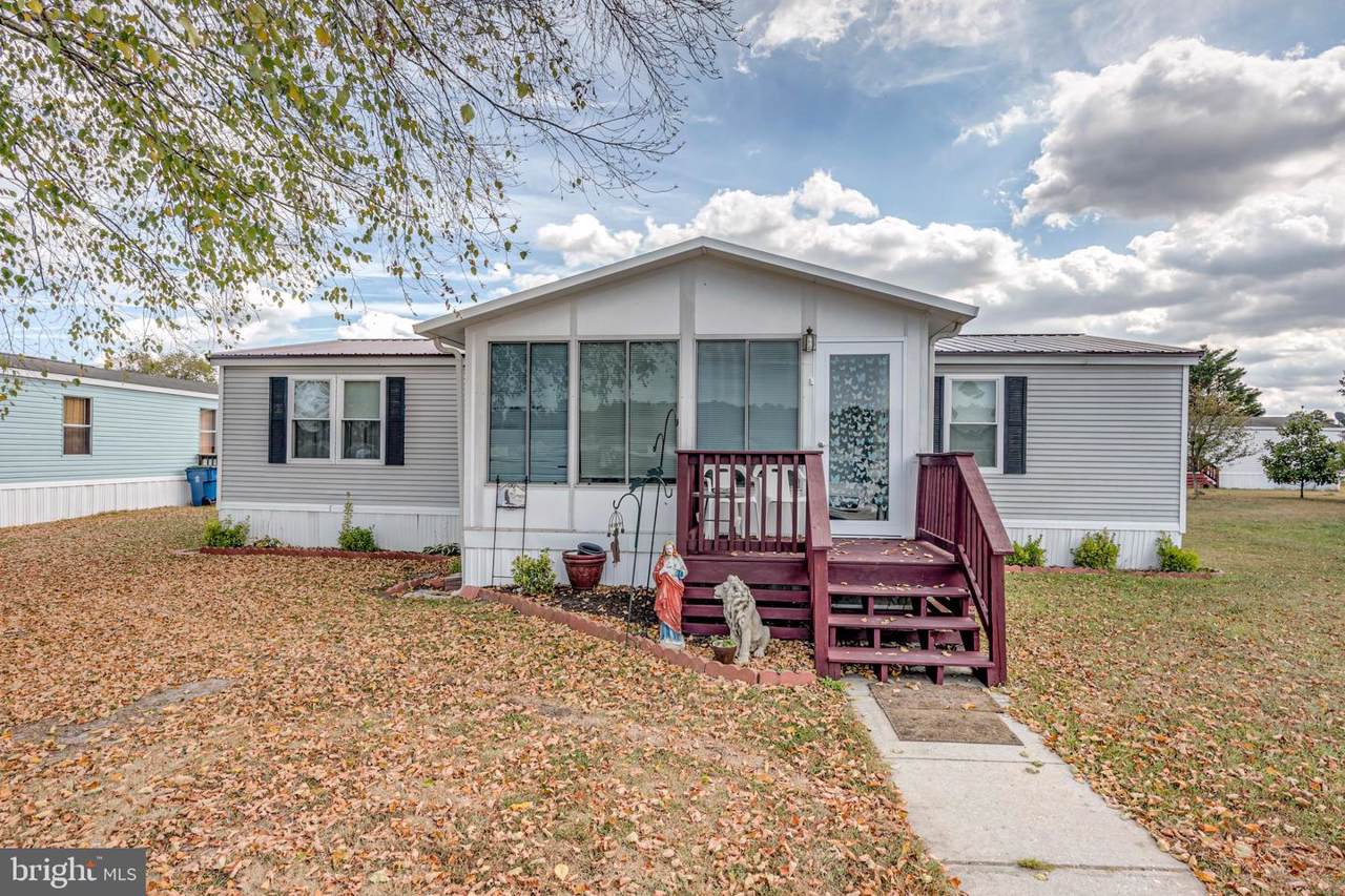 482 Long Branch Road - Photo 1