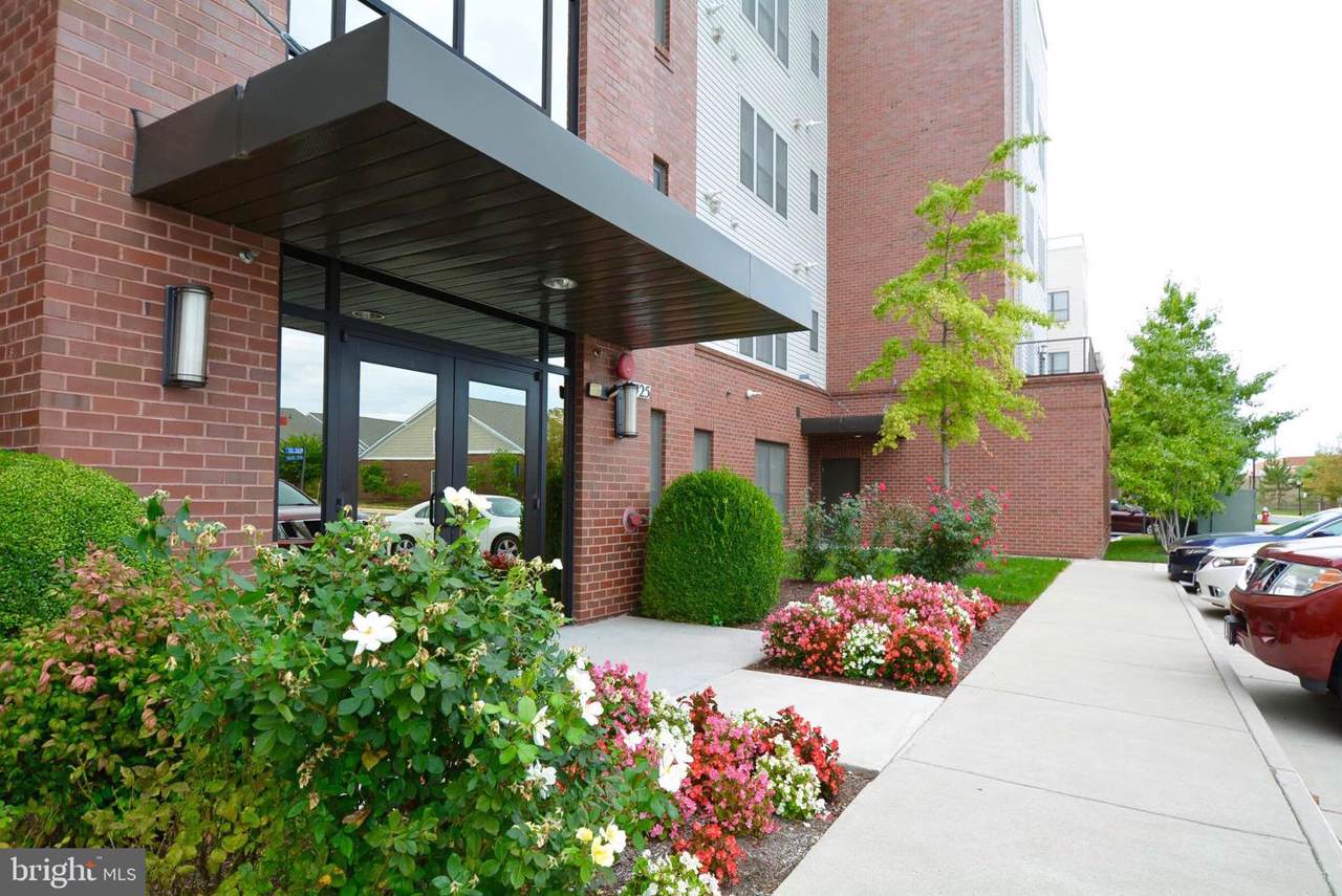 8425 Peace Lily Court - Photo 1