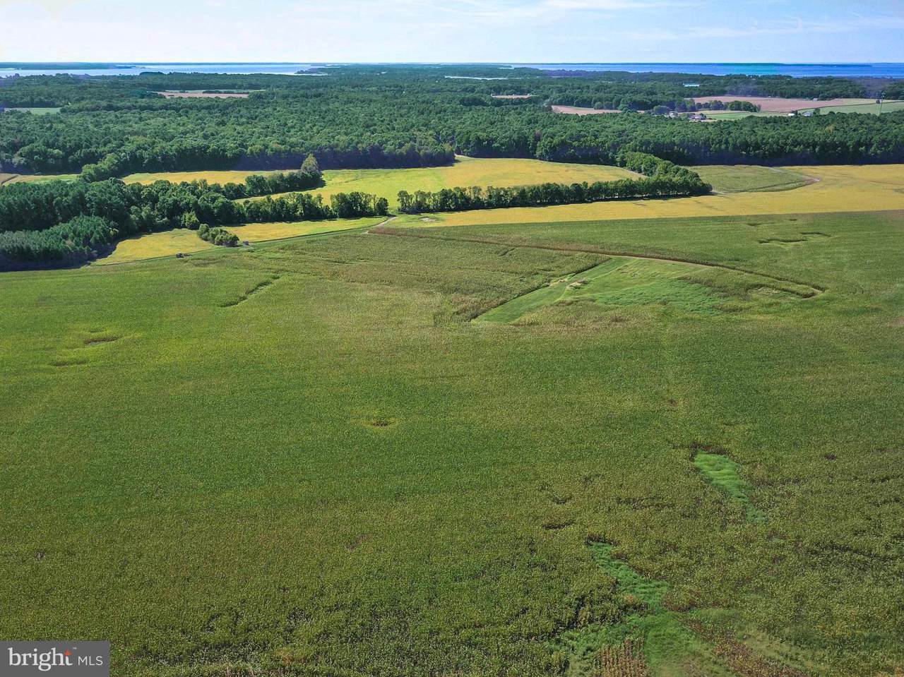 0 Edesville-Piney Ne Edesville Piney Neck Road - Photo 1