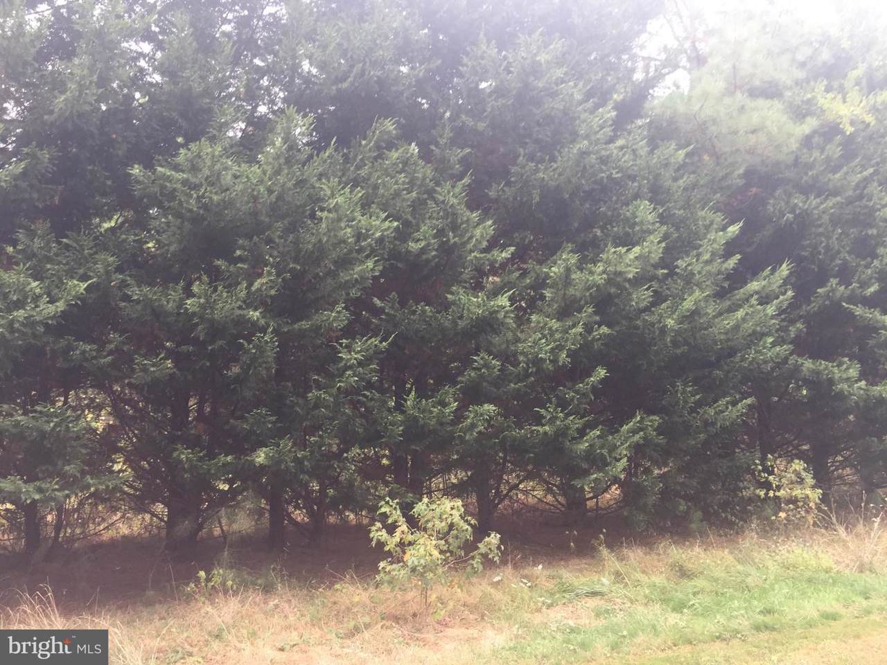 Lot 8 Olive Branch Drive - Photo 1