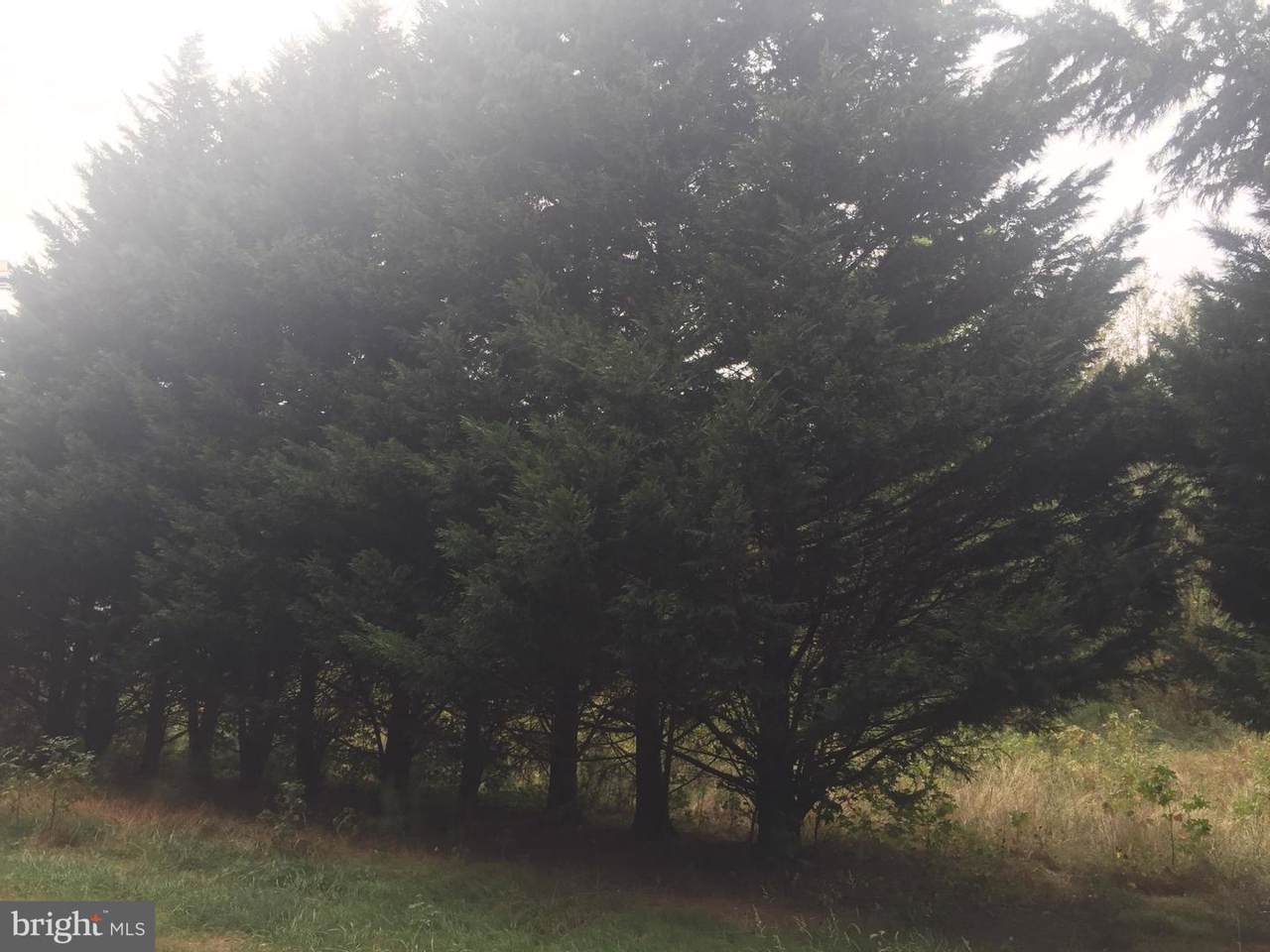 Lot 6 Olive Branch Drive - Photo 1