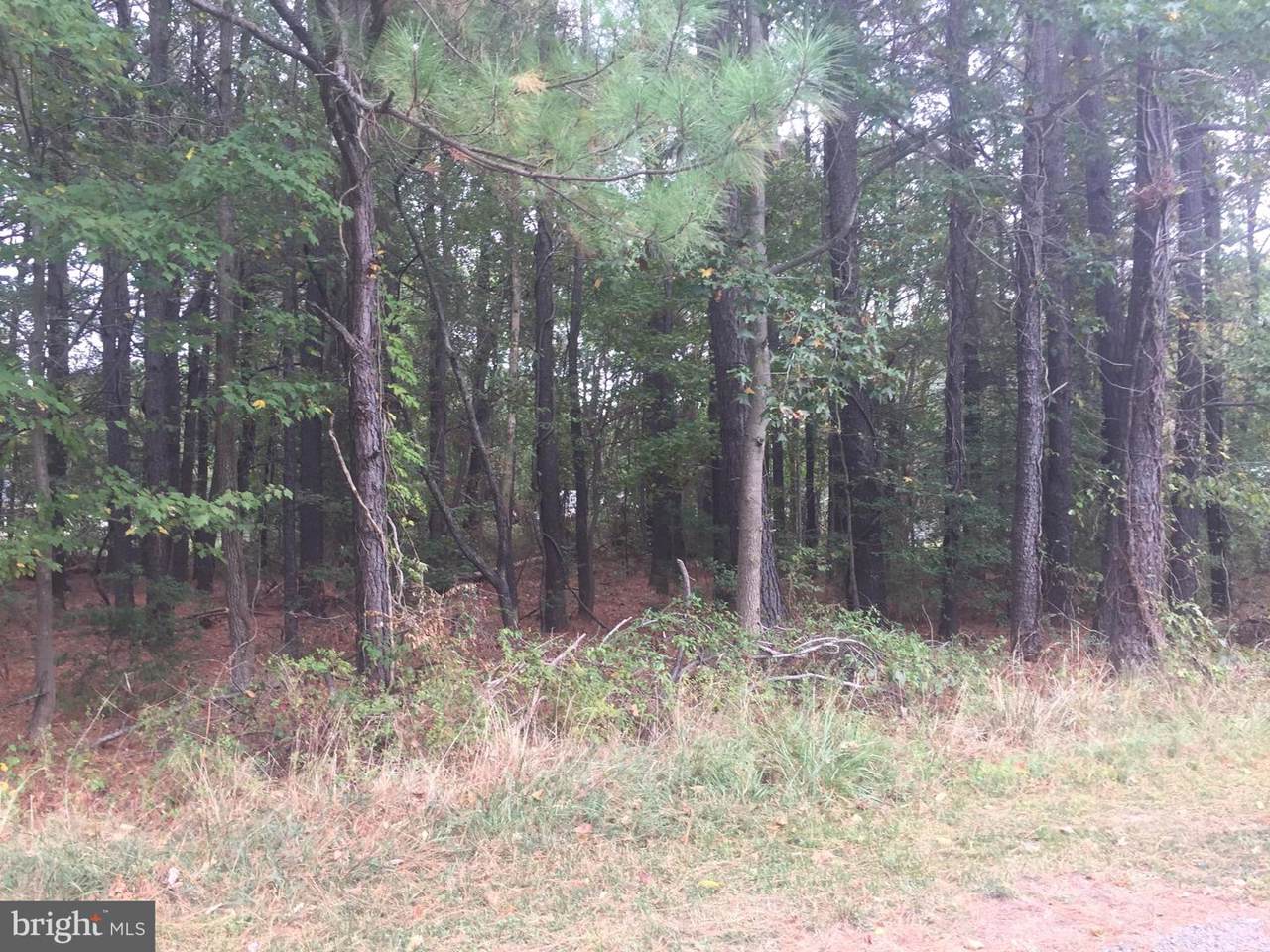 Lot 22 Olive Branch Drive - Photo 1