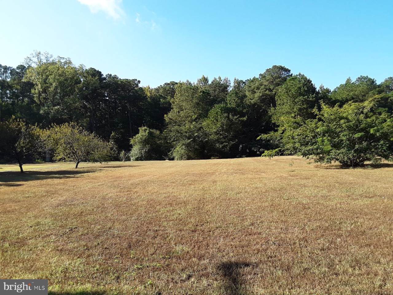 3627 Greenpoint Road - Photo 1