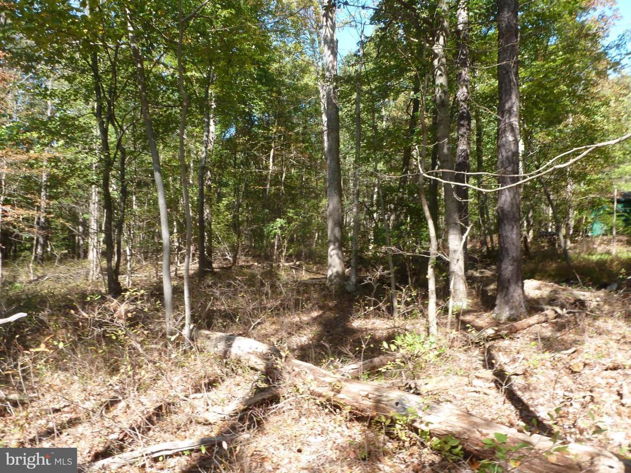 Pine Tree Drive - Photo 1