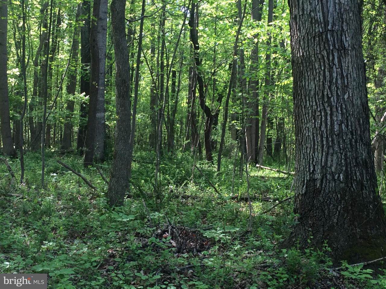 Mount Gilead Road - Photo 1