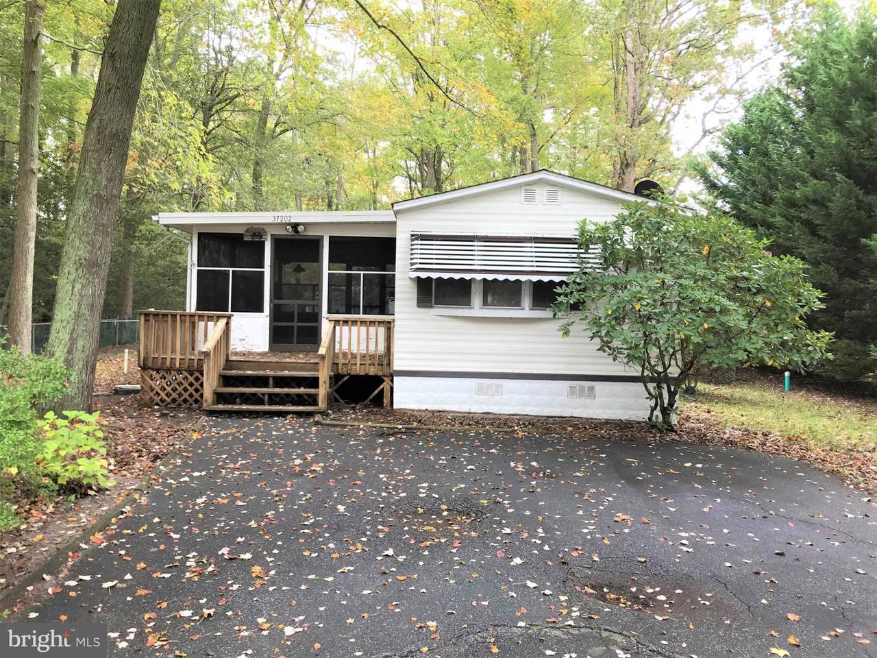 37202 Carolina Drive - Photo 1