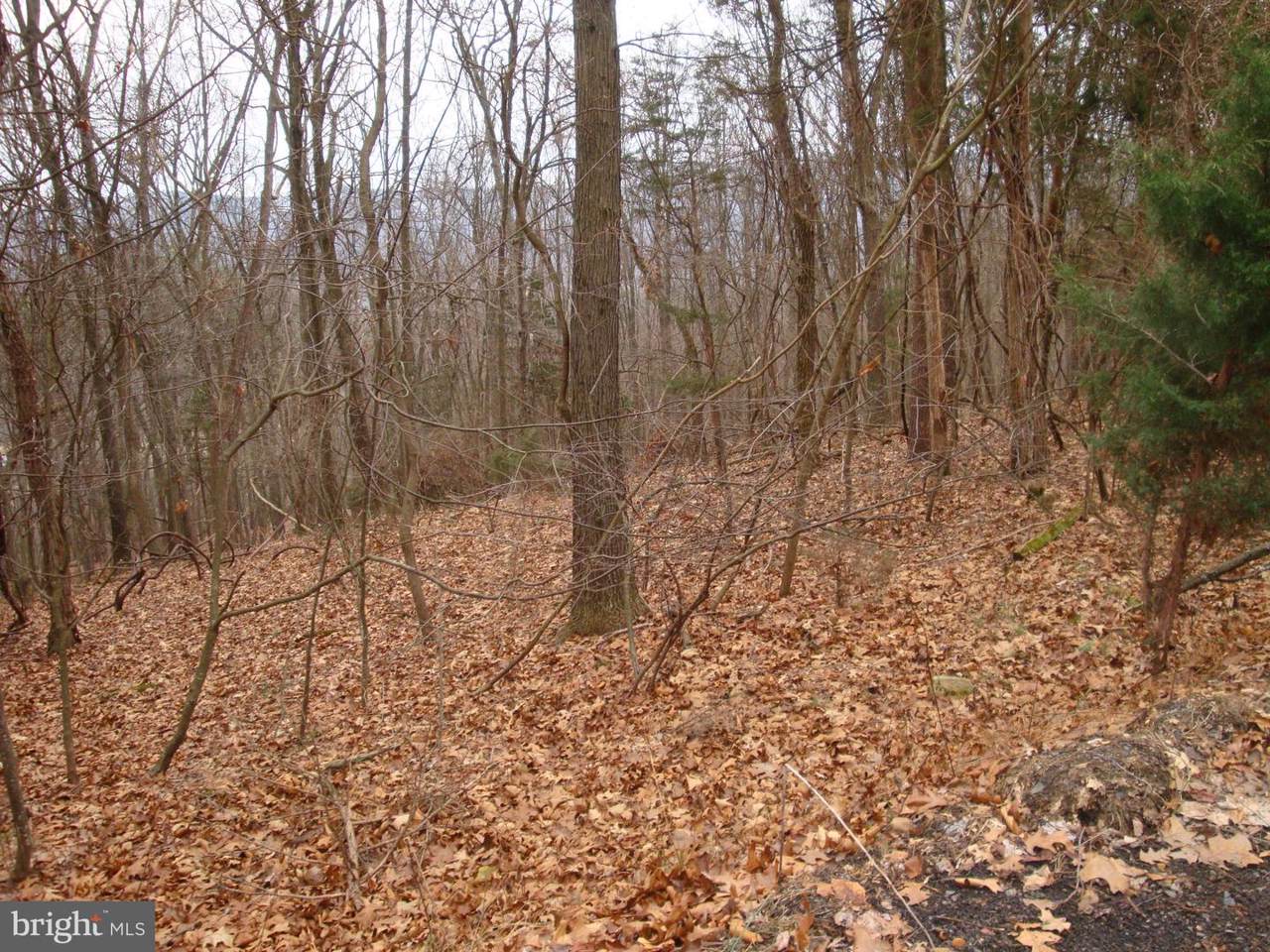 Lot 5 Anderson Ridge Road - Photo 1