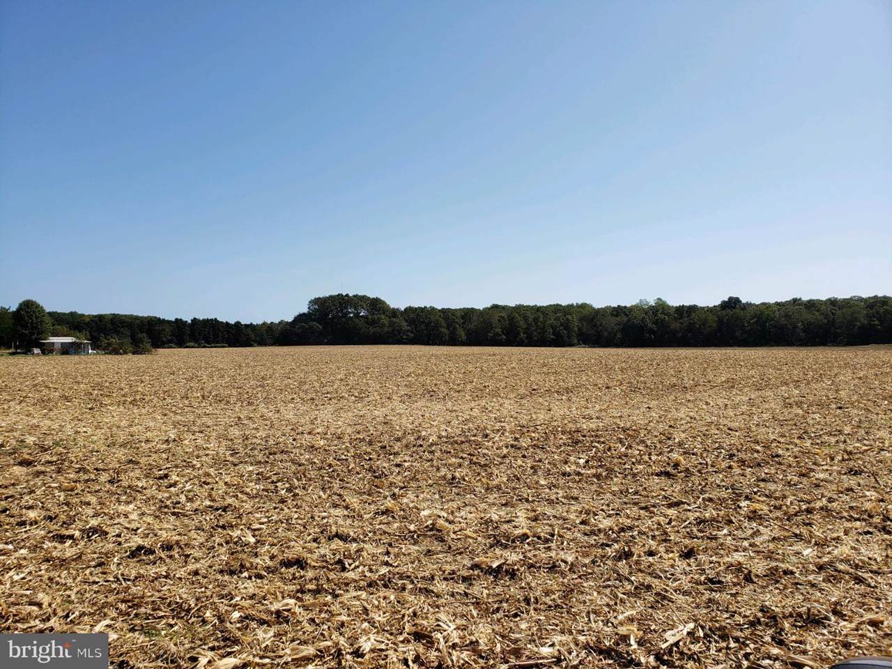 Lot 8.3 Acres Back Creek Road - Photo 1