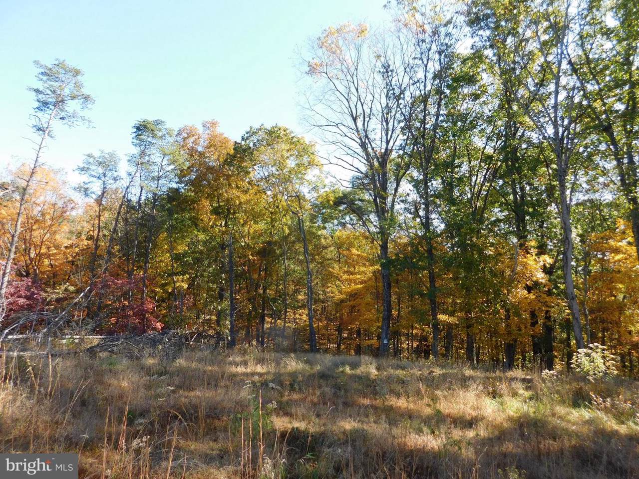 17314 Buckley Road - Photo 1