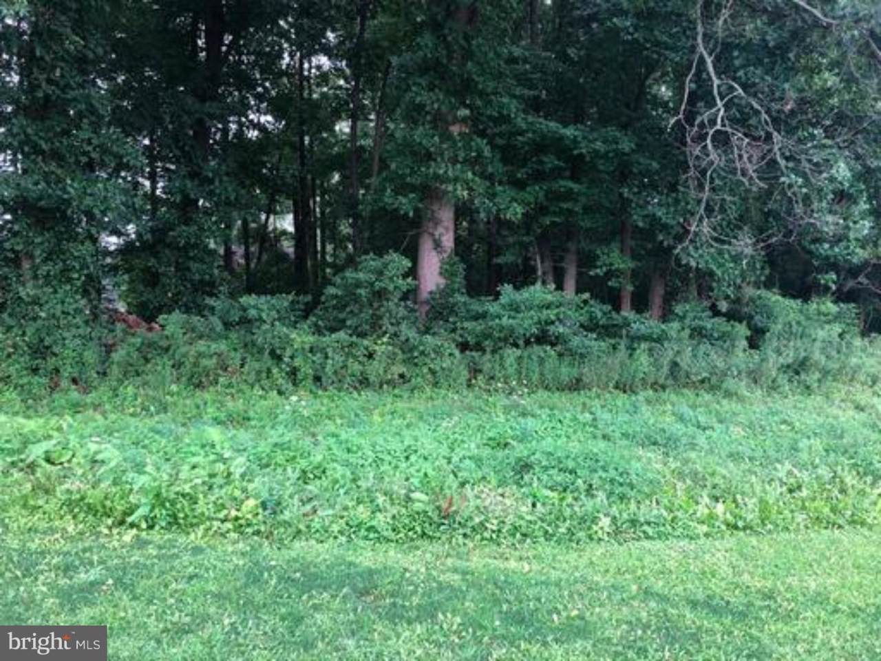 180-#1 Beacon Light Road - Photo 1
