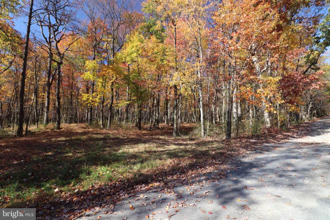 0 Deer Path Drive - Photo 1