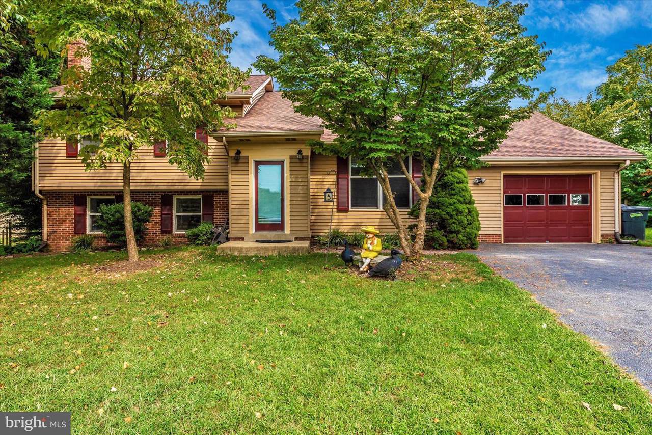 7220 Rainbow Lane - Photo 1