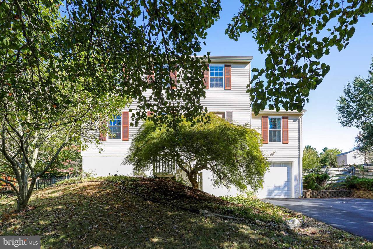 25201 Conrad - Photo 1