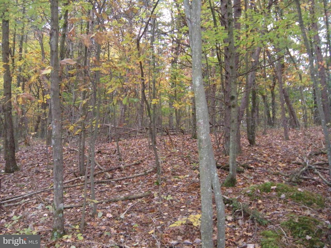 LOT #2 Smokeyshire Lane - Photo 1