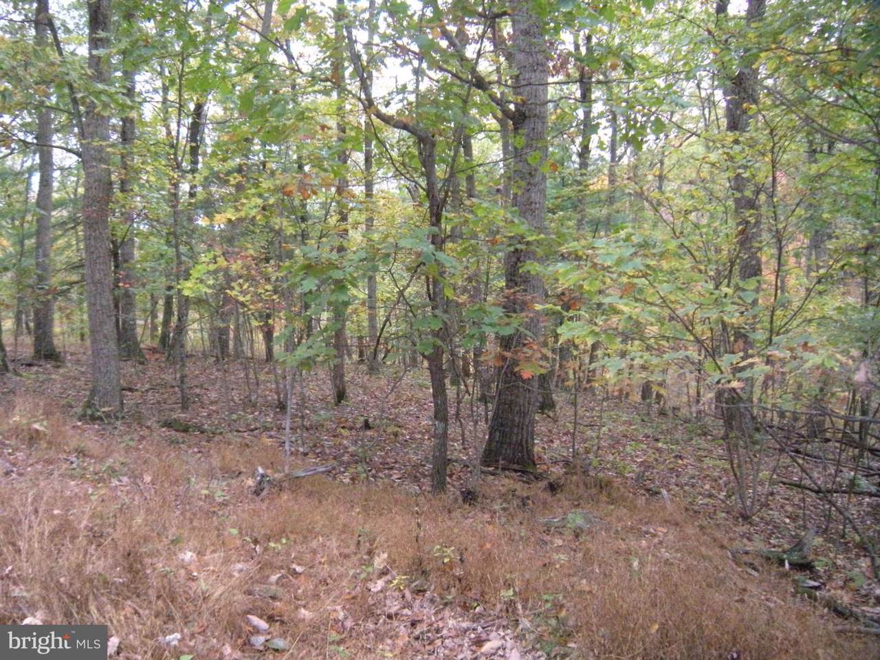 LOT #11 Smokeyshire Lane - Photo 1