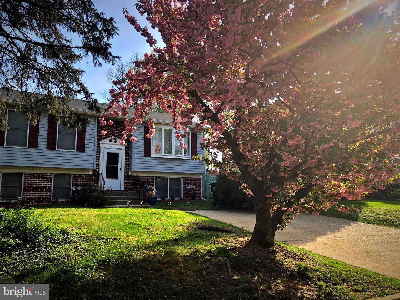 4821 Fox Street - Photo 1
