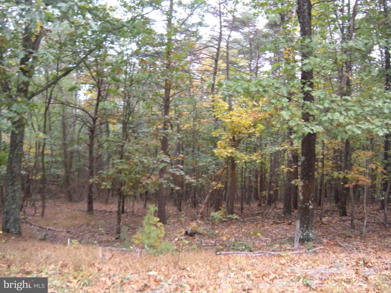 LOT #13A Smokeyshire Lane - Photo 1
