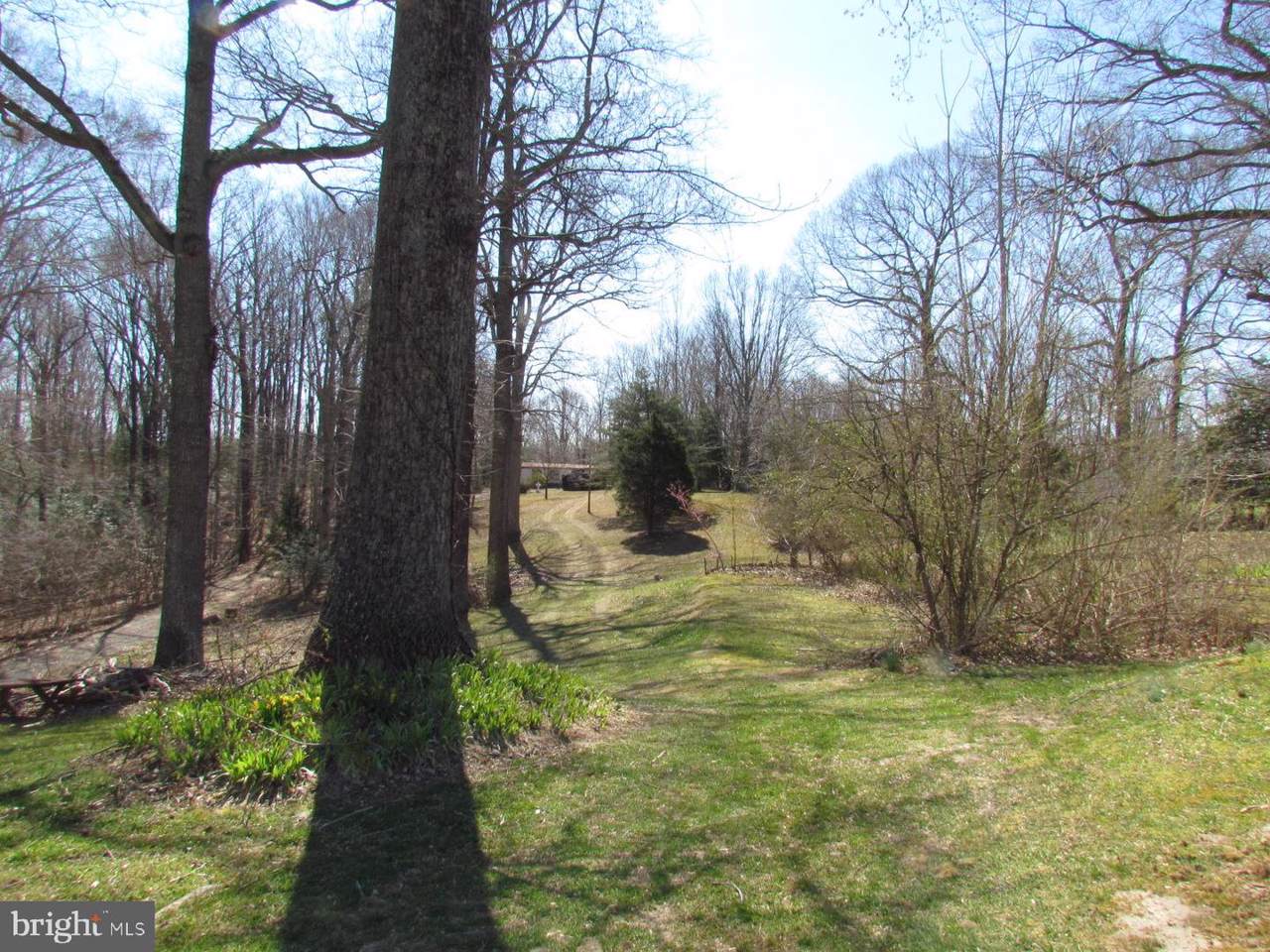 43163 Joy Lane - Photo 1