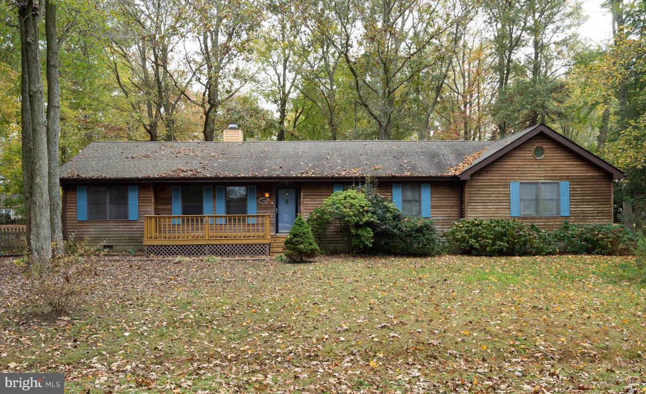 31508 Hazzard Drive - Photo 1