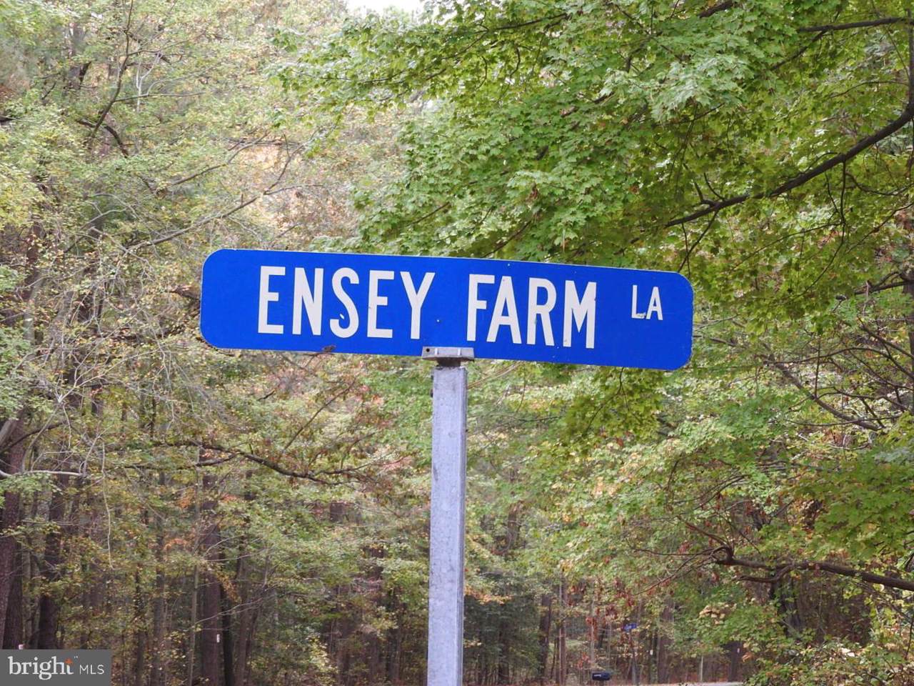Ensey Farm Lane - Photo 1 Ensey Farm Lane - Photo 1