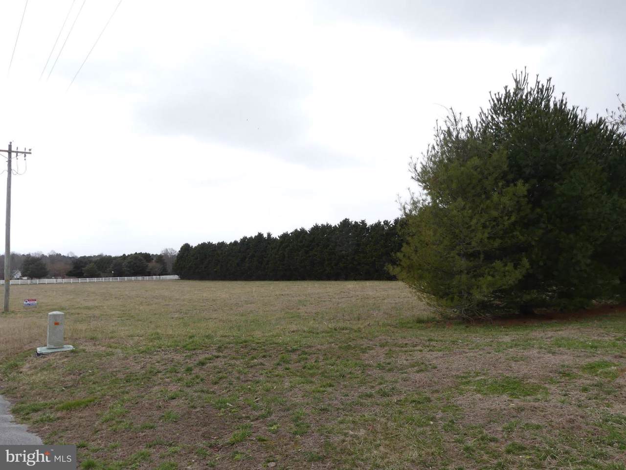 Lot 8 Cedar Lane - Photo 1