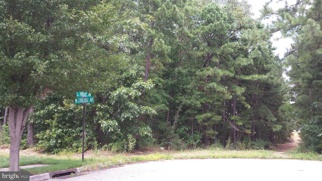Holly Avenue - Photo 1