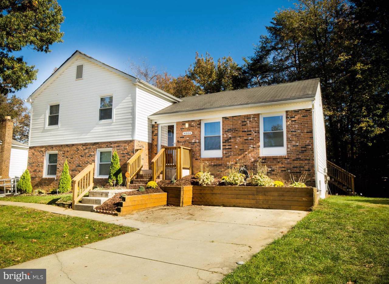 4804 Birchtree Lane - Photo 1