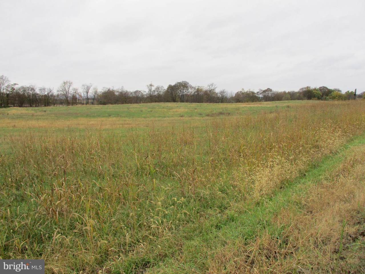 Lot 25 A Swan Pond Road - Photo 1