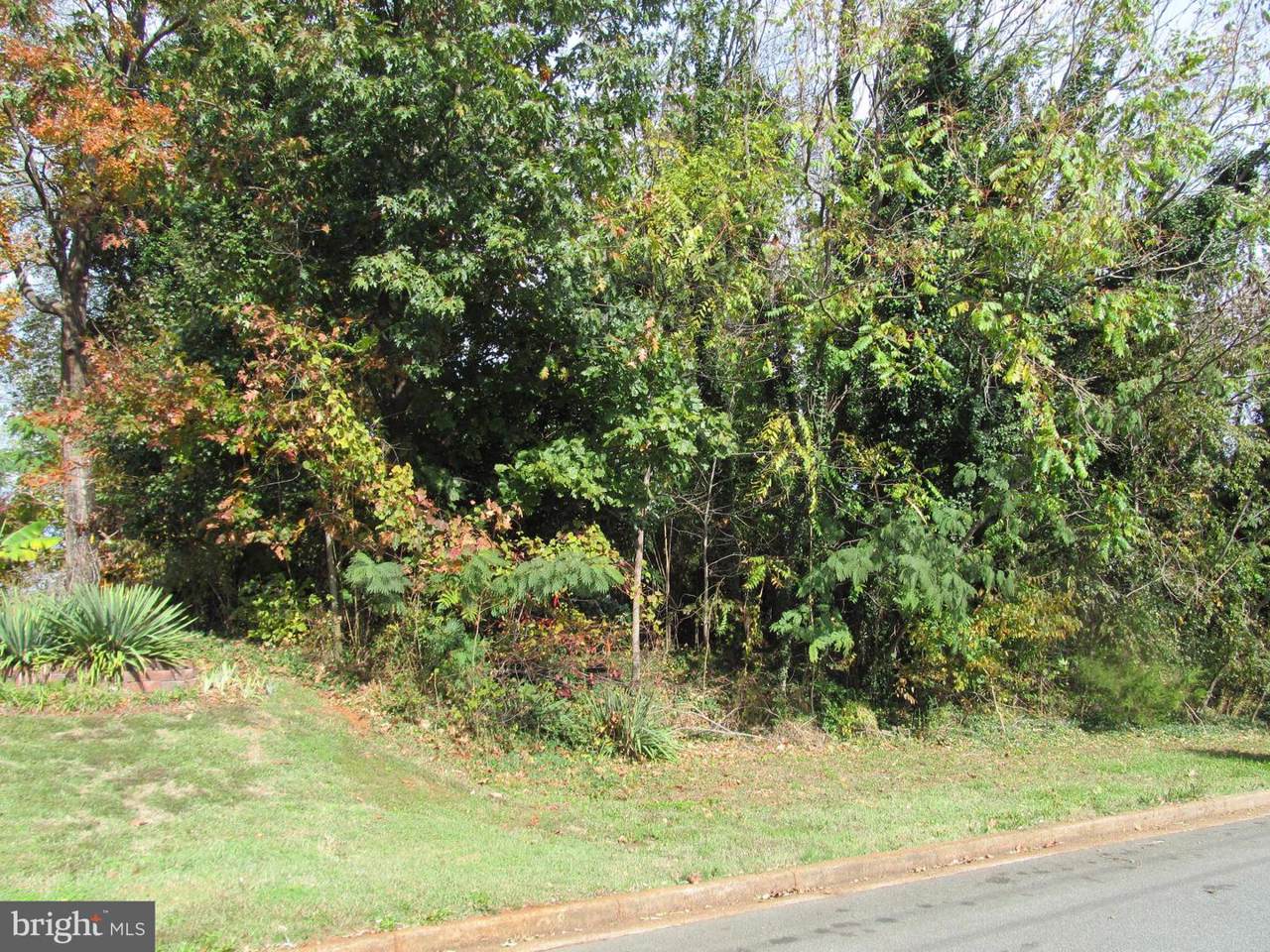 Morton Street - Photo 1