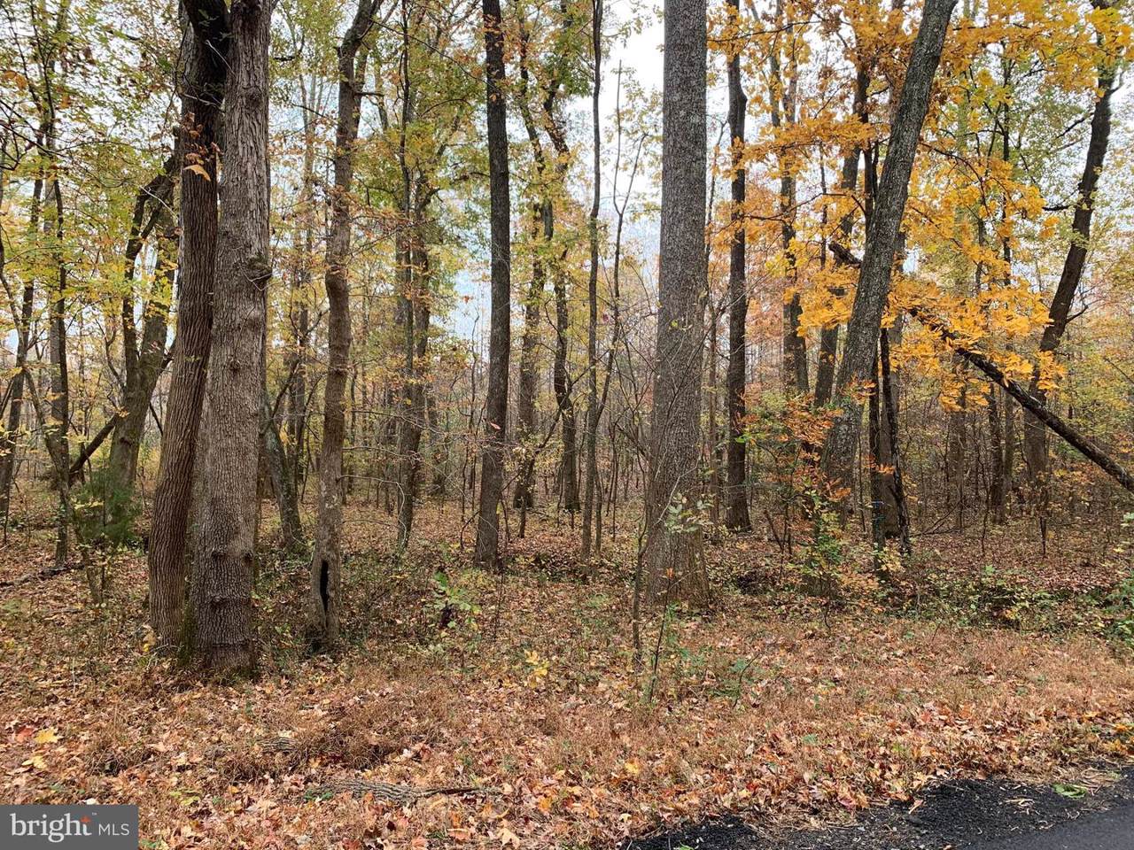 Old Plank Road - Photo 1