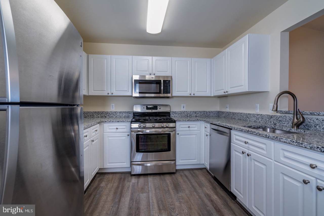 20584 Snowshoe Square - Photo 1