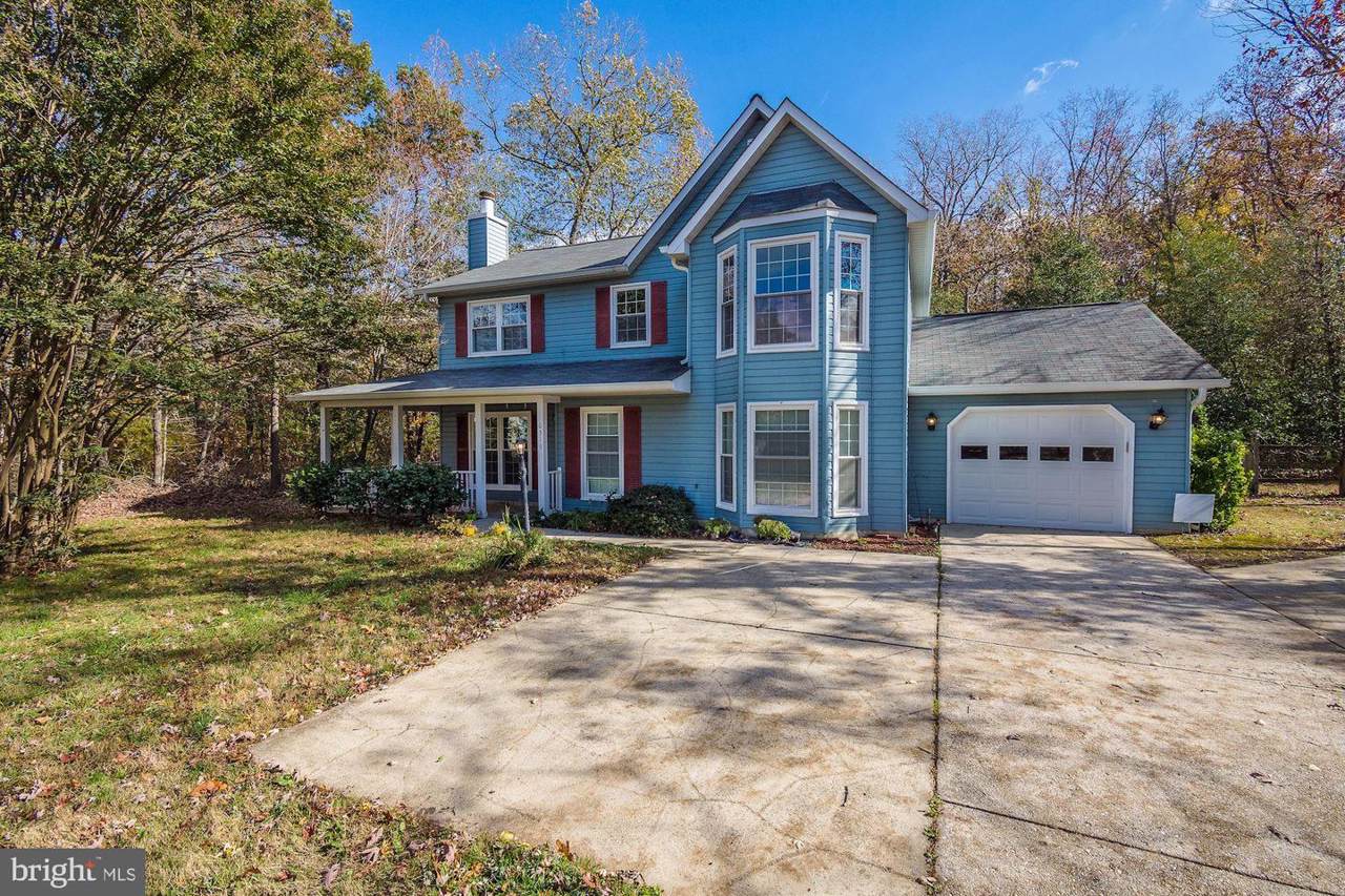 6313 Panda Court - Photo 1