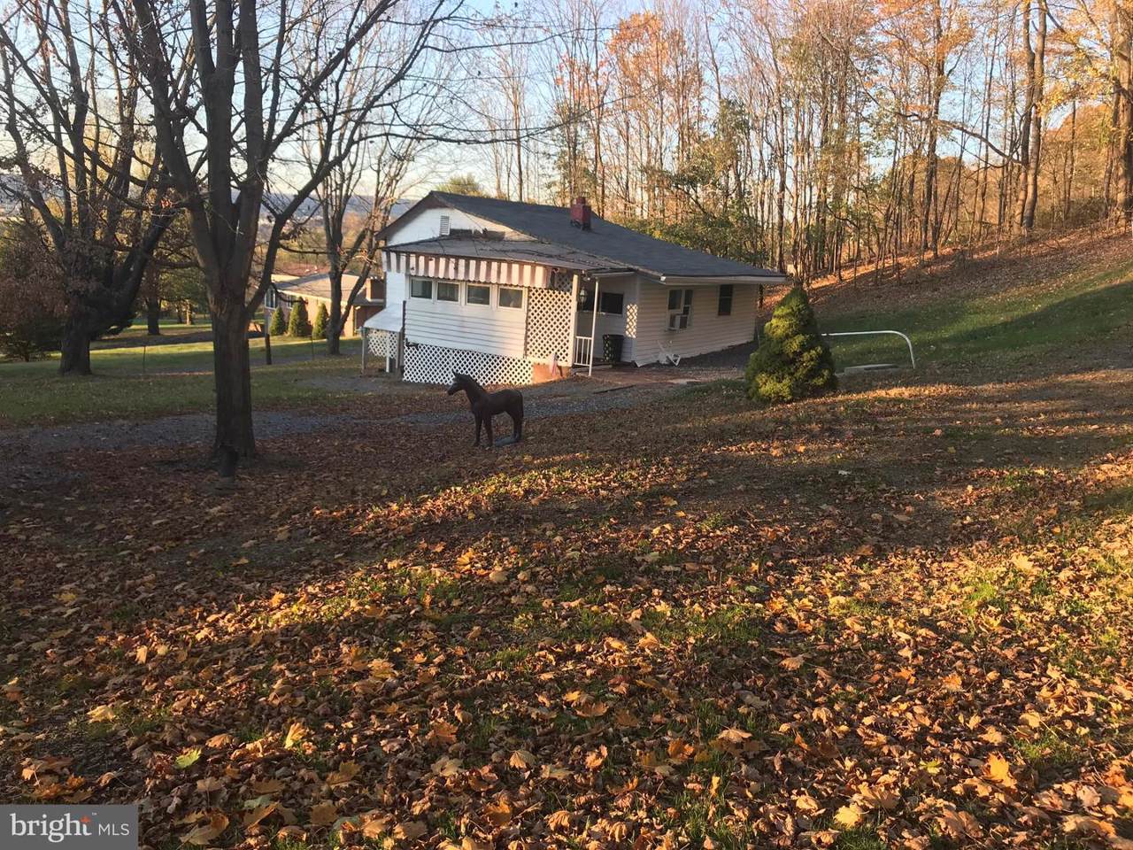 12701 Irons Mountain Road - Photo 1