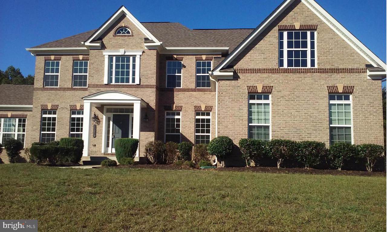 13203 Arya Drive - Photo 1