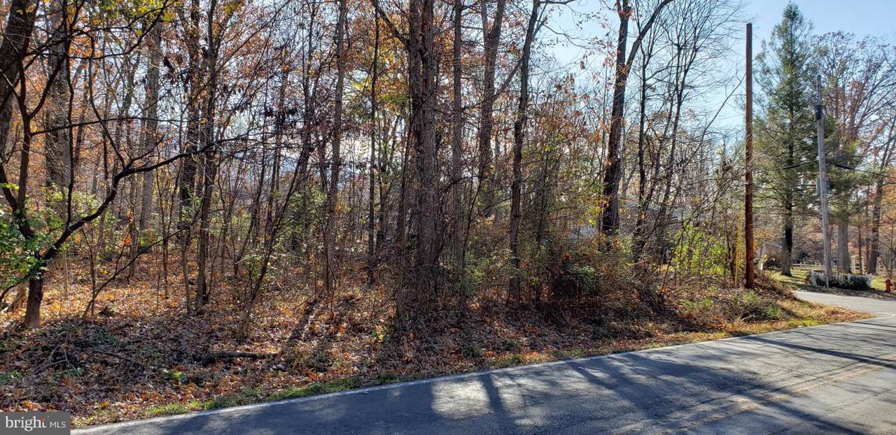 Crystal Falls Drive - Photo 1