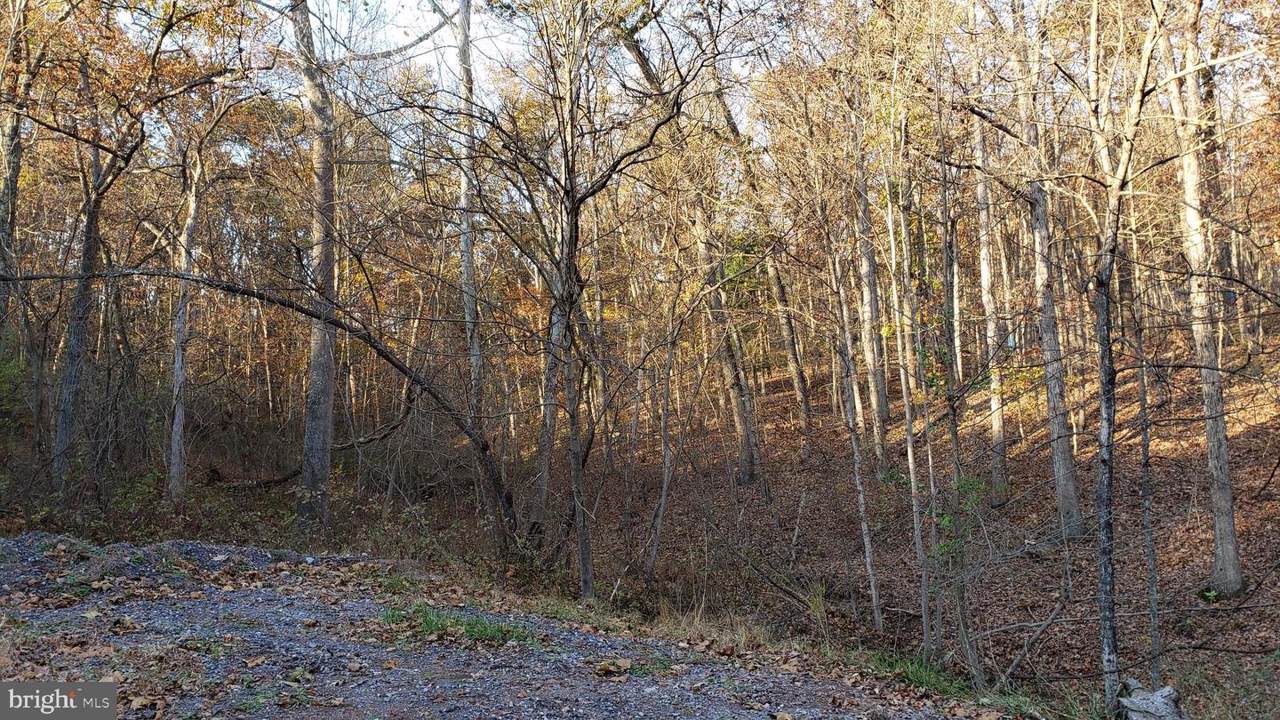 20001 Potomac Overlook Drive - Photo 1